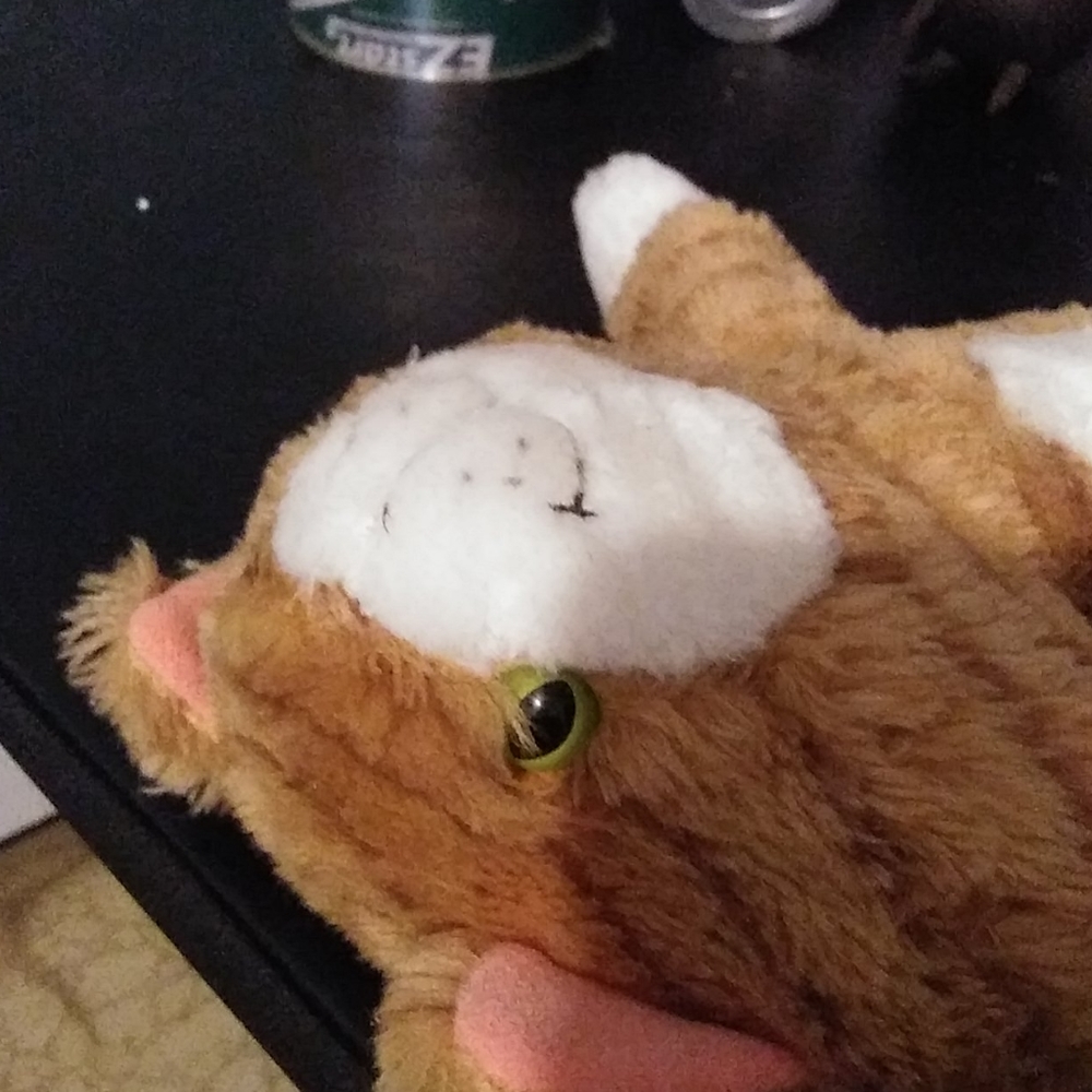 Stuff animal